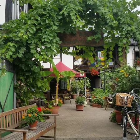 Weingut -1869- Brunnenhof *